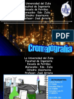 Presentacion Gas Cromatografia