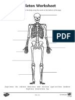 Skeleton Worksheet: Name The Bones in The Body Using The Words at The Bottom of The Page