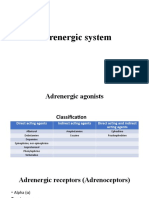 ANS-adrenergic System