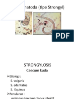 Nematodosis Type Strongyl