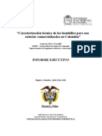 Informe Ejecutivo