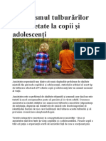 Mecanismul Tulburărilor de Anxietate La Copii Și Adolescenți