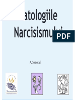 Patologiile Narcisismului Ro