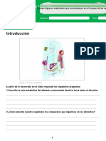 Metabolismo de alimentos y formación de compuestos corporales