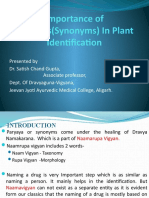 Importance of Paryayas in Plant Identification 
