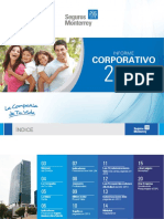 Informe Corporativo SMNYL2013