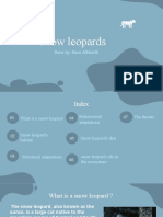 Snow Leopard Adaptations and Threats