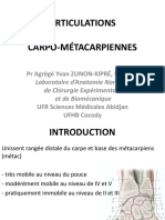 Articulations Carpo Metacarpiennes
