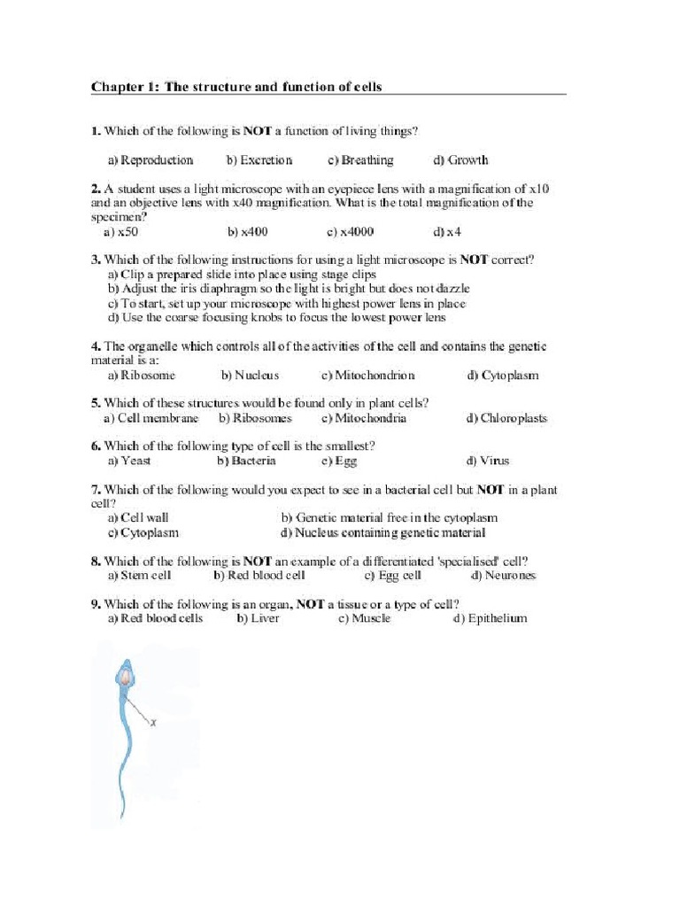 Human Ans Soc Paper 1 | Pdf