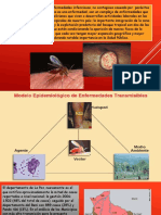 Leishmania Sis