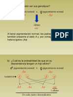 18 Problemas de Genetica Resueltos - Parte3