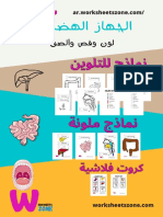 Digestive System Arabic
