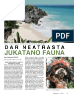 Lutute - Jukatano Fauna