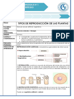 Guía 1 Biología 8