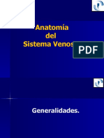 Anatomia Venosa.2007wv