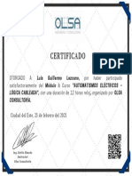 Certificado Luis Lezcano