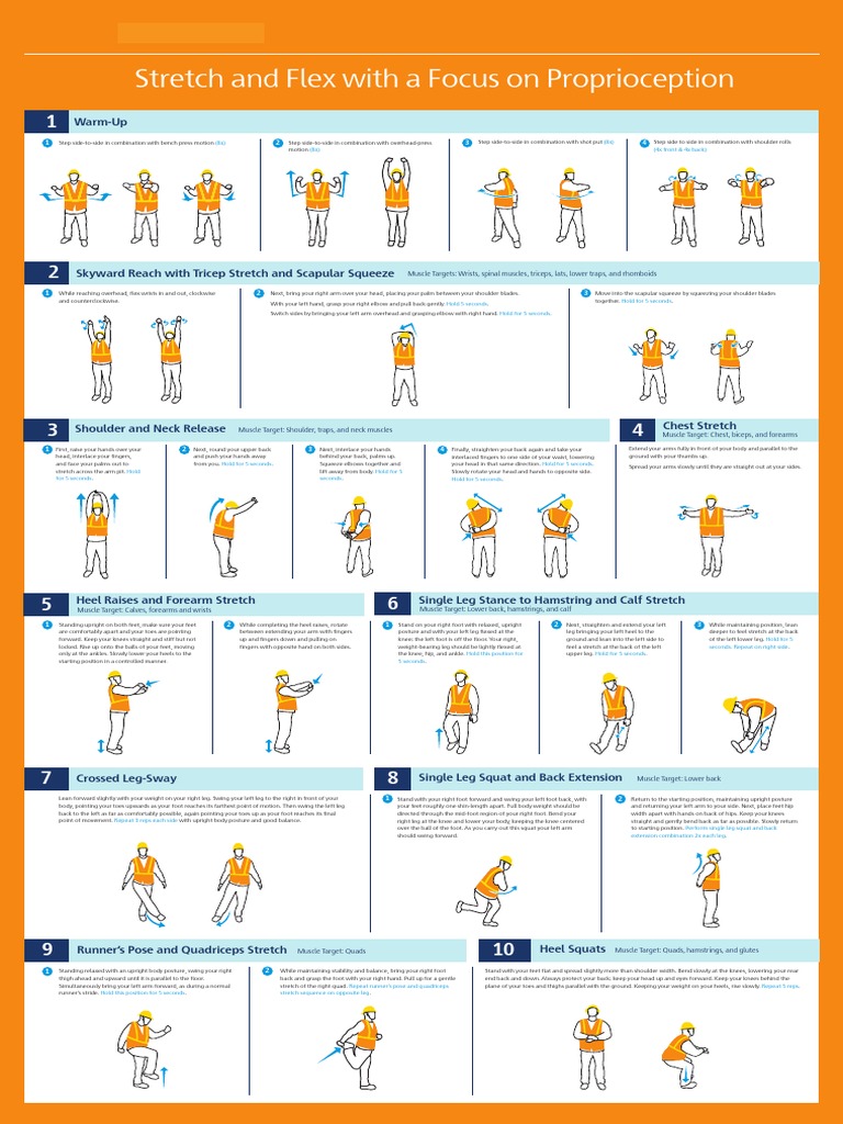 Stretch and Flex Poster PDF Anatomical Terms Of Motion Foot