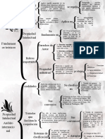 Propiedad Intelectual Esquema