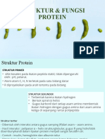 Struktur & Fungsi Protein