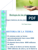 Origen y Morfologia Plantas