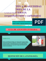 Exposición A Plaguisidas Inhibidores de La Colinesterasa (