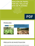 10-3.presentacion. Aprovechamiento Del Tallo de Mata de Platano para La Produccion de Hojas de Papel