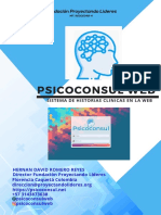 Portafolio Psicoconsul Web