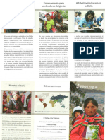 Brochure Espanol