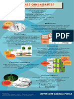 Infografia Uniones Comunicantes