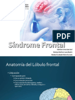 Sind Rome Frontal