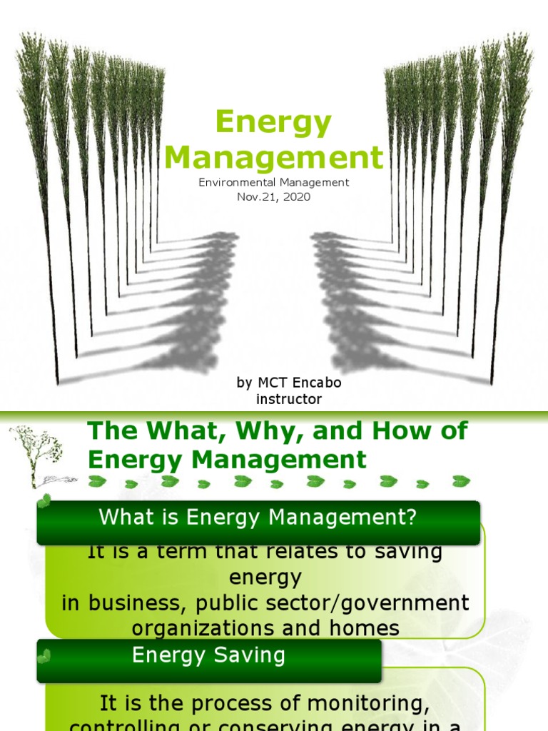 Energy Management Strategies Explained | PDF | Energy Conservation | Nature