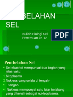 Pembelahan Sel