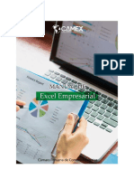 Manual Camex de Excel Empresarial