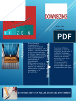 Exposición Kaisen Y Downsizing.