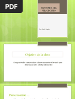 1 Anatomia Del Periodonto Mucosa Bucal