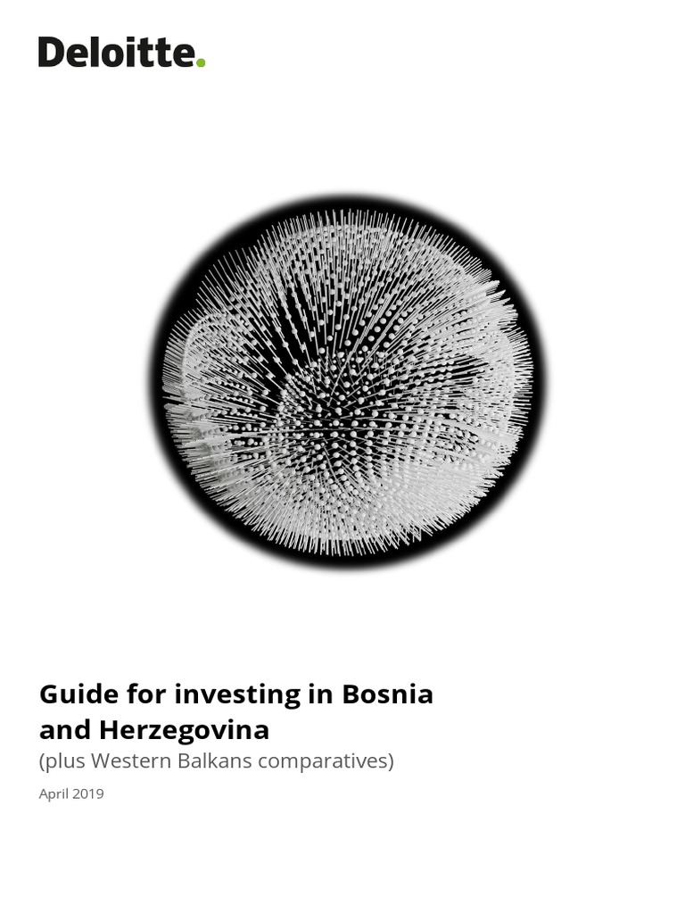 Investing Guide Bosnia PDF Corporate Tax In The United States