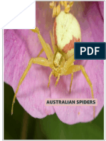 TOP 10 AUSTRALIAN SPIDERS