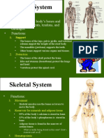 Skeletal System: - Composed of The Body's Bones and Associated Ligaments, Tendons, and Cartilages. - Functions