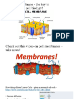 The Cell Membrane - The Key To Understanding Cell Biology!