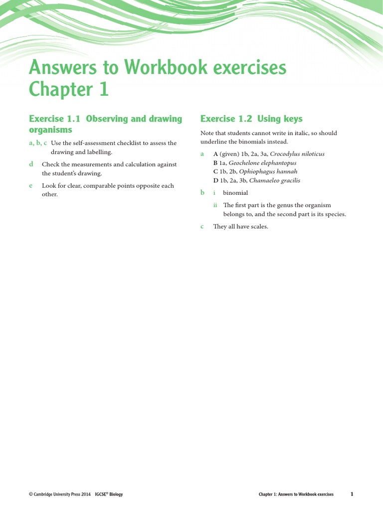 www.scribd.com
