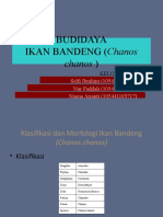 Budidaya Ikan Bandeng (KLP3)
