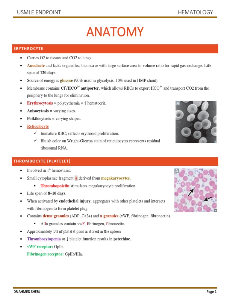 Hematology Overview for USMLE | PDF | Coagulation | Platelet