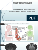 Importanța Determinării Procalcitoninei Și A Proteinei C-Reactive În Diferite Etape de Sepsis