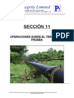 SPANISH Section 11 Field testing operations REV00-corrected