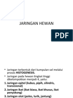 Jaringan Hewan