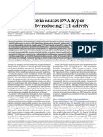Tumour Hypoxia Causes DNA Hypermethylation by Reducing TET Activity
