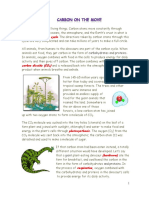 Carbon Cycle: Carbohydrates and Proteins