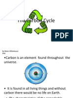 The Carbon Cycle: by Moira Whitehouse PHD