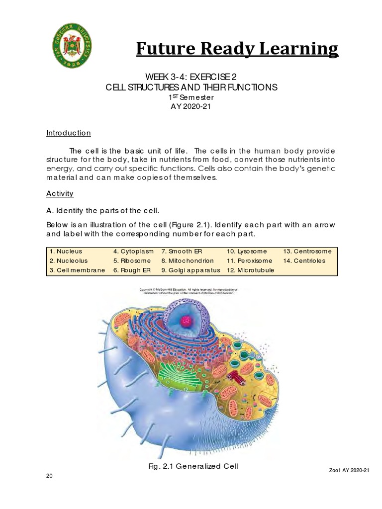 Future Ready Learning: Week 3-4: Exercise 2 Cell Structures and Their ...