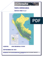 Perfil Geoservice Peru 2010